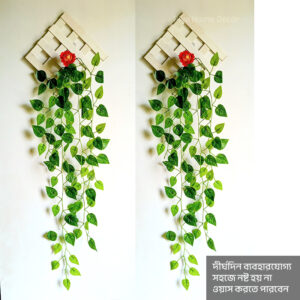 Piya Home Decor